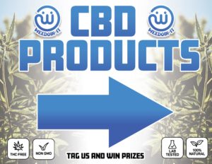 Best CBD Beauty Product Online 