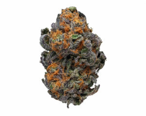 CBD Cannabis business permits