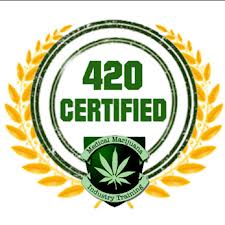 online CBD college