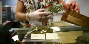CBD private label program