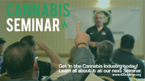 How to start a CBD business