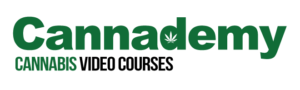 How to start a CBD business