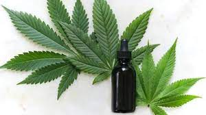 Canabis oil